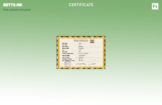 модерен стил Шаблон PSD од извод од матична книга на родени Суринам