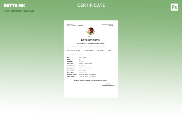 модерен стил во Мексико извод од матична книга на родени Шаблон за Word и PDF ша