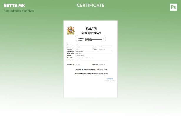 модерен стил извод од малави Шаблон Word и PDF, целосно уредлив шаблон