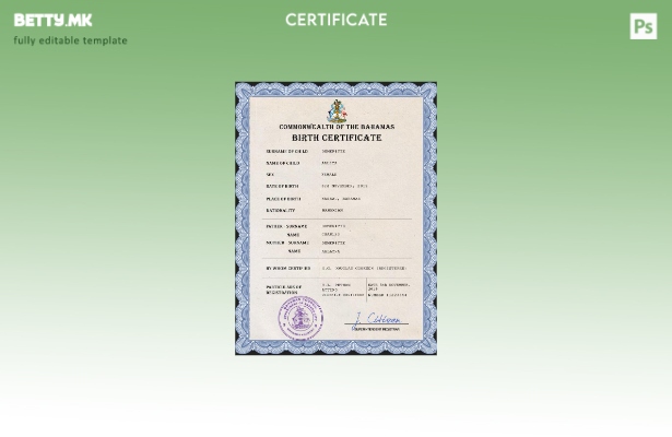 модерен стил на Бахамите, шаблон за шаблон PSD од извод од матична книга на Ро 1