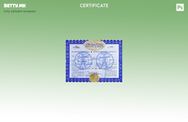 модерен стил на САД Вашингтон шаблон сина потврда за брак во шаблон PSD формат