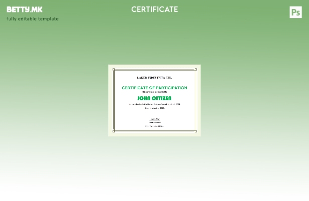 модерен стил на САД Модерен шаблон за учество