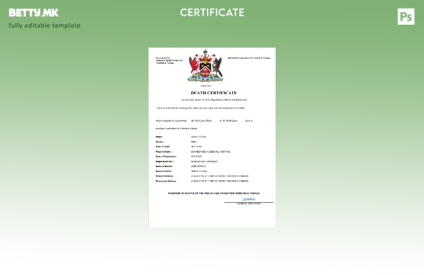 модерен стил на Тринидад и Тобаго шаблон за шаблон Word и PDF