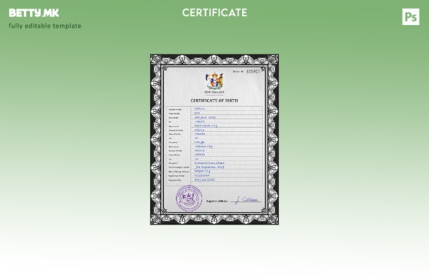 модерен стил шаблон за ПСД од извод од матична книга на родените Нов Зеланд