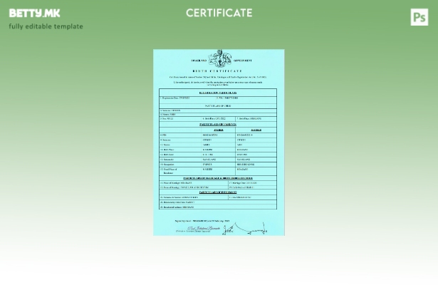 модерен стил шаблон за извод од матична книга на родените Свазиленд во формат Wo