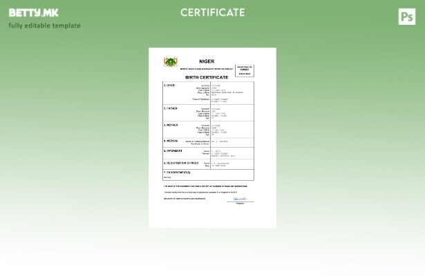 модерен стил шаблон за извод од матична книга на родените во Нигер Word и PDF