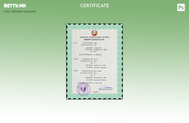 модерен стил, шаблон за ПСД од извод од матична книга на родените во Северна Кор