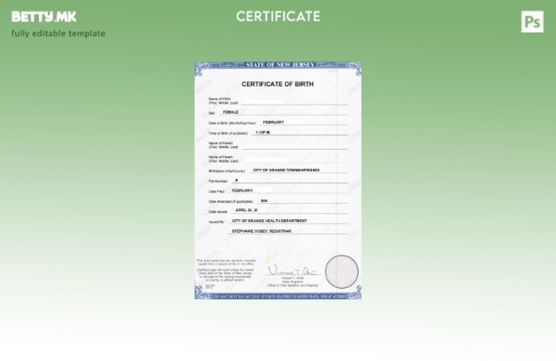 модерен стил, шаблон за извод од матична книга на родени од Министерството за зд