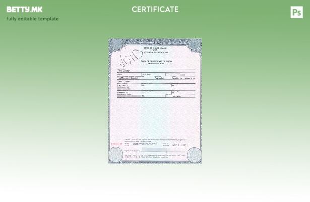 модерен стил, шаблон за извод од матичната книга на родените во Државната канцел