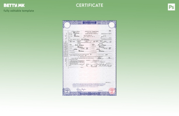 модерен стил, шаблон за извод од матичната книга на родените во државата Тенеси