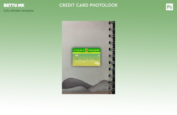 Модерен стил Индија Пенџаб и Синд банка виза фото изглед шаблон