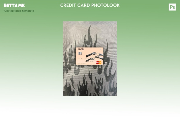 Модерен стил на USA SVB Financial Group за преден шаблон за мастер карта со фото