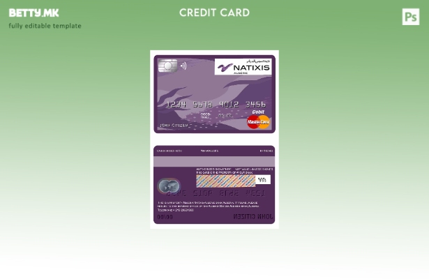 Модерен стил Алжир Natixis Algerie банка шаблон за главната дебитна картичка