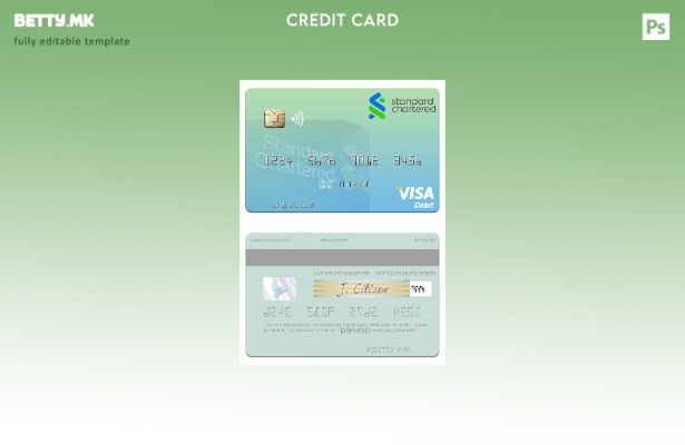 Модерен стил Зимбабве Стандарден чартер шаблон за дебитна картичка за виза