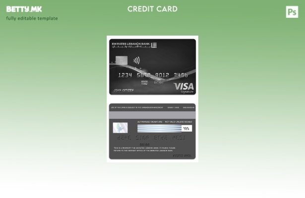 Модерен стил Либан Емирати Шаблон за наплатна картичка за потпис на виза банка Л