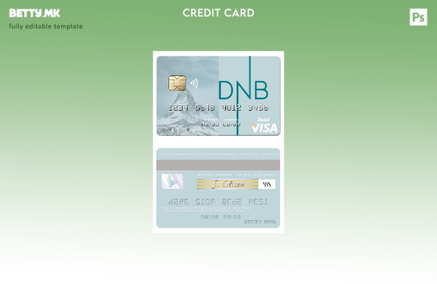 Модерен стил Литванија DNB банка шаблон виза дебитна картичка