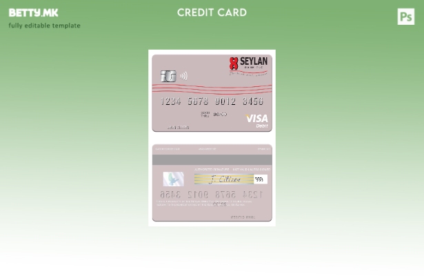 Модерен стил Шаблон за виза за дебитна картичка во Шри Ланка Seylan Bank Plc