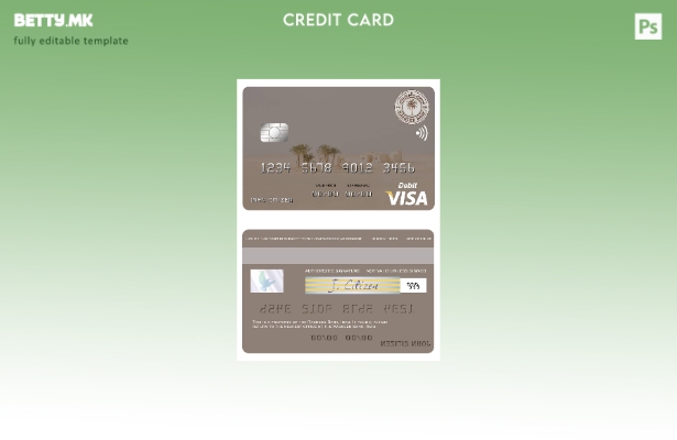 Модерен стил Шаблон за виза за дебитна картичка на Ирак Рашид банка