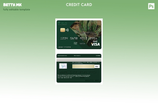 Модерен стил Шаблон за виза картичка за комерцијална банка Ангола