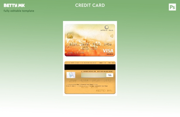 Модерен стил Шаблон за електронска виза на Империјална банка на Јужна Африка