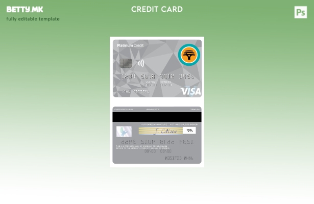Модерен стил Шаблон за платинска кредитна виза на Намибија Првата Народна банка
