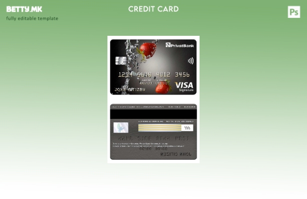 Модерен стил за шаблон за картичка за виза за потпис на Украина PrivatBank