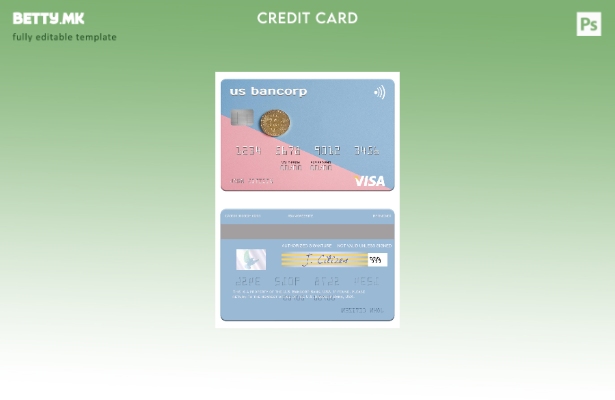 Модерен стил шаблон за виза картичка на САД Bancorp Bank