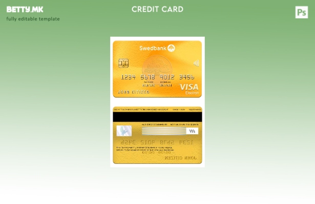 Модерен стил шаблон за електронска картичка за виза на Литванија Swedbank