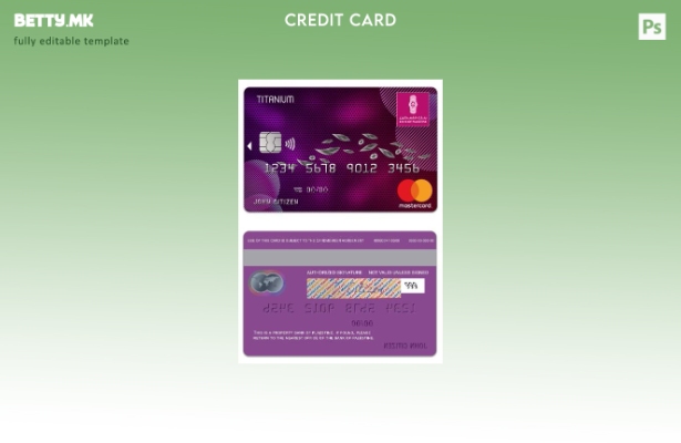 Модерен стил шаблон за титаниумска мастер карта на Палестинската државна банка н