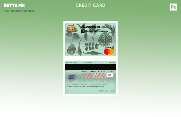 Шаблон за мастер картички во модерен стил Еквадор Банко Боливарино