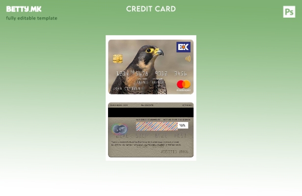 модерен стил Пакистан Шаблон за мастер картички на банката Банката на Хајбер