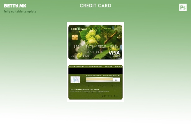 модерен стил Романија CEC банка виза класичен шаблон за картичка