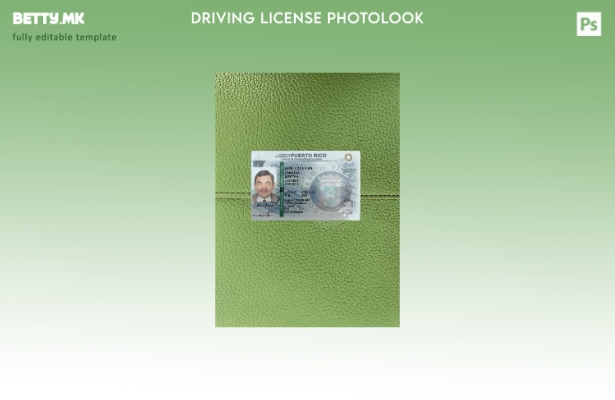 Возачка дозвола во модерен стил Порторико го претставува предниот шаблон со фото