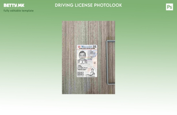 Возачка дозвола во модерен стил САД Висконсин под шаблон photolook FRONT