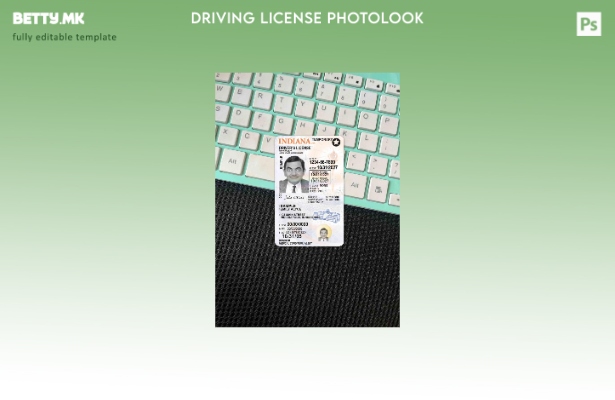 Возачка дозвола во модерен стил САД Индијана под шаблон photolook FRONT