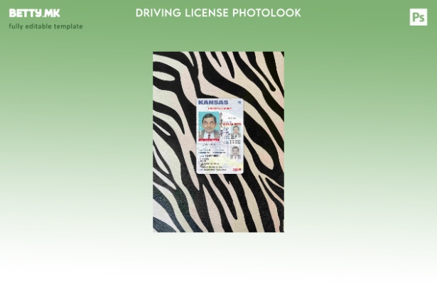 Возачка дозвола во модерен стил САД Канзас под шаблон photolook FRONT