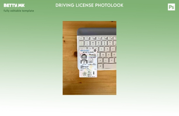Возачка дозвола во модерен стил САД Кентаки под шаблон photolook FRONT
