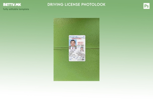 Возачка дозвола во модерен стил САД Мејн под шаблон photolook FRONT