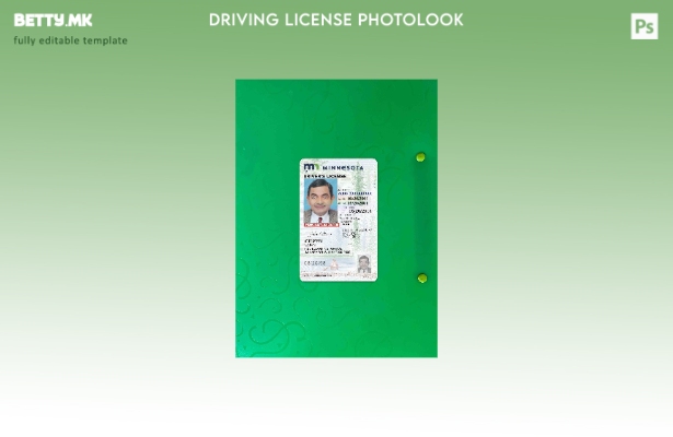 Возачка дозвола во модерен стил САД Минесота под шаблон photolook FRONT