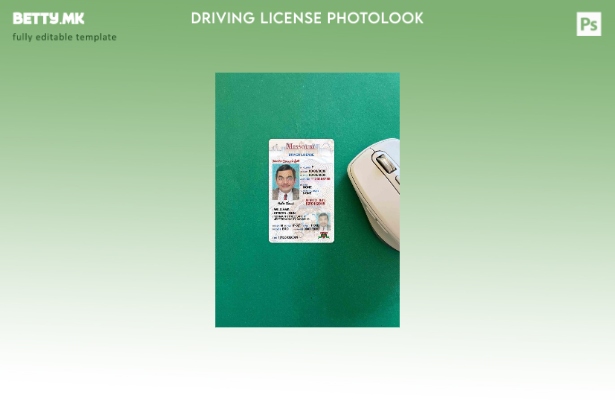 Возачка дозвола во модерен стил САД Мисури под шаблон photolook FRONT