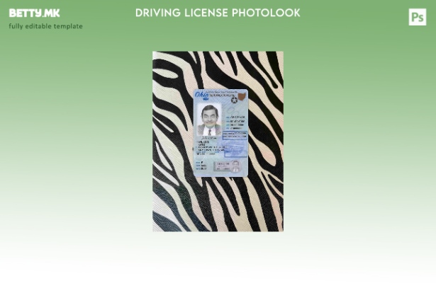 Возачка дозвола во модерен стил САД Охајо под шаблон photolook FRONT