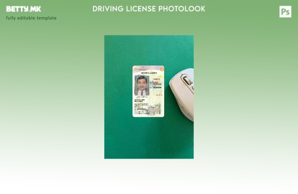 Возачка дозвола во модерен стил на САД Џорџија под шаблон photolook FRONT