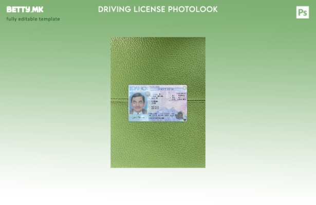 Возачка дозвола во модерен стил на САД Ајдахо го претставува предниот шаблон со