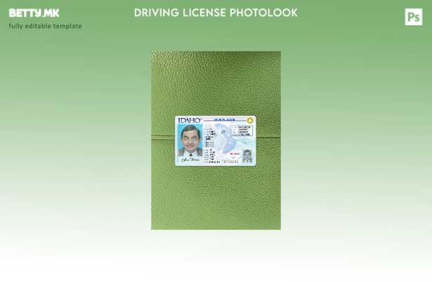 Возачка дозвола во модерен стил на САД Ајдахо го претставува предниот шаблон с 1