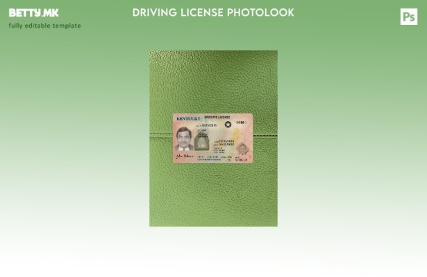 Возачка дозвола во модерен стил на САД Кентаки го претставува предниот шаблон со