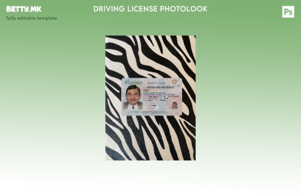 Возачка дозвола од Флорида во модерен стил на САД претставува преден шаблон со ф