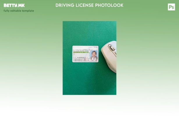 Модерен стил Јапонија DL photolook ПРЕДЕН шаблон