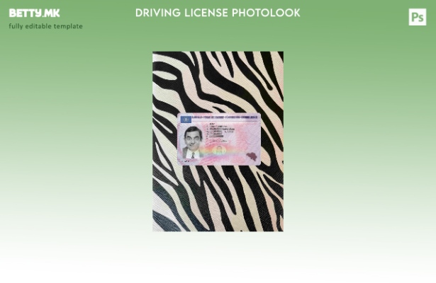 Модерен стил Белгија DL верзија photolook шаблон FRONT