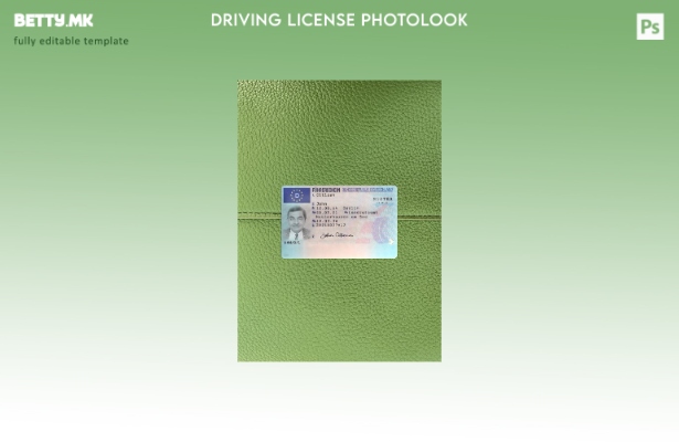 Модерен стил Германската возачка дозвола претставува преден шаблон со фото изгле
