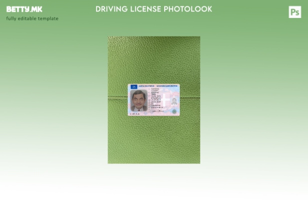 Модерен стил Грчката возачка дозвола претставува преден шаблон со фото изглед
